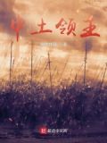中土领主