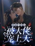 带崽归国后被大佬宠上天陆司琛