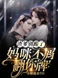 顾小乔陆寒御