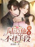 陆总他追妻不择手段陆墨寒