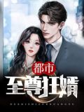 都市至尊狂婿