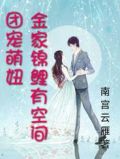 团宠金小说