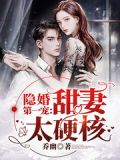 隐婚第一宠甜妻太硬核 小说
