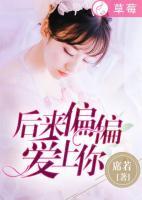后来偏偏爱上你歌词