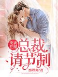 宠妻狂魔总裁请节制