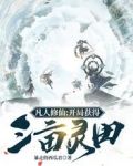 凡人修仙：开局获得三亩灵田