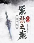 诸天：从紫禁之巅开启