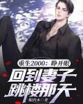 重生2000：睁开眼，回到妻子跳楼那天