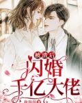 被渣后，闪婚千亿大佬