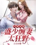 闪婚成瘾：盛少缠妻太狂野