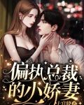 偏执总裁的小娇妻