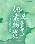 极品婆婆守则(七零)