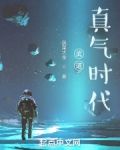 武道：真气时代