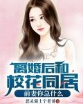 离婚后和校花同居，前妻你急什么