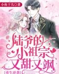 重生逆袭：陆爷的小祖宗又甜又飒