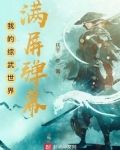 我的综武世界满屏弹幕