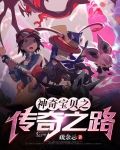 神奇宝贝之传奇之路