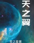 天之翼