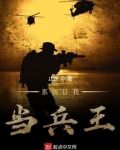 系统让我当兵王
