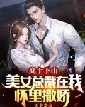 高手下山，美女总裁在我怀里撒娇