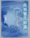 医婿无双