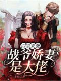 四宝来袭，战爷娇妻是大佬林双战宇寒