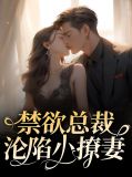 禁欲总裁沦陷小撩妻赵澜尊