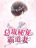 总裁秘宠霸道妻苏晚心