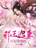 邪王追妻医世子妃