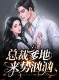 总裁爹地来势汹汹苏凉晚封暮晨