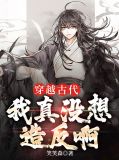 穿越古代，我真没想造反啊江尘慕容琳