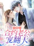 闪婚后合约老公宠翻天沈倾城裴凡