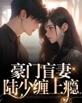 豪门总裁之盲少