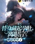 替身藏起孕肚离职后，傅总哭晕了