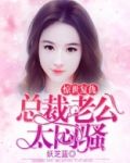 惊世复仇：总裁老公太闷骚