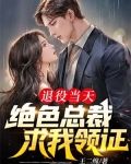 退役当天，绝色总裁求我领证