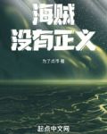 海贼:没有正义 篱笆