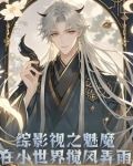 综影视之魅魔在小世界搅风弄雨