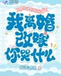 你选白月光我离婚改嫁你哭什么小说免费阅读