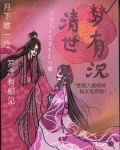 清梦dds