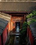 四合院:一切从劳改贾张氏开始作者牛熊随心郭绍华