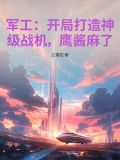 主角开军工公司的小说