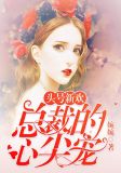 头号新欢：总裁的心尖宠