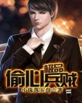 极品偷心兵贼