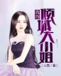 我的倾城大小姐王文斌