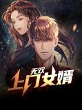 无双上门女婿岳风