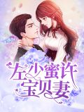 左少蜜许宝贝妻苏轻语
