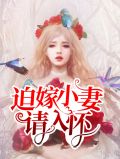 迫嫁成妃 小说